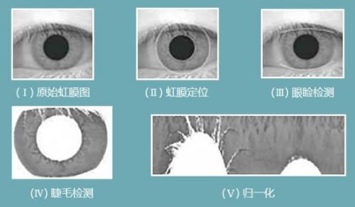 虹膜傳感器，戴眼鏡也能秒解鎖